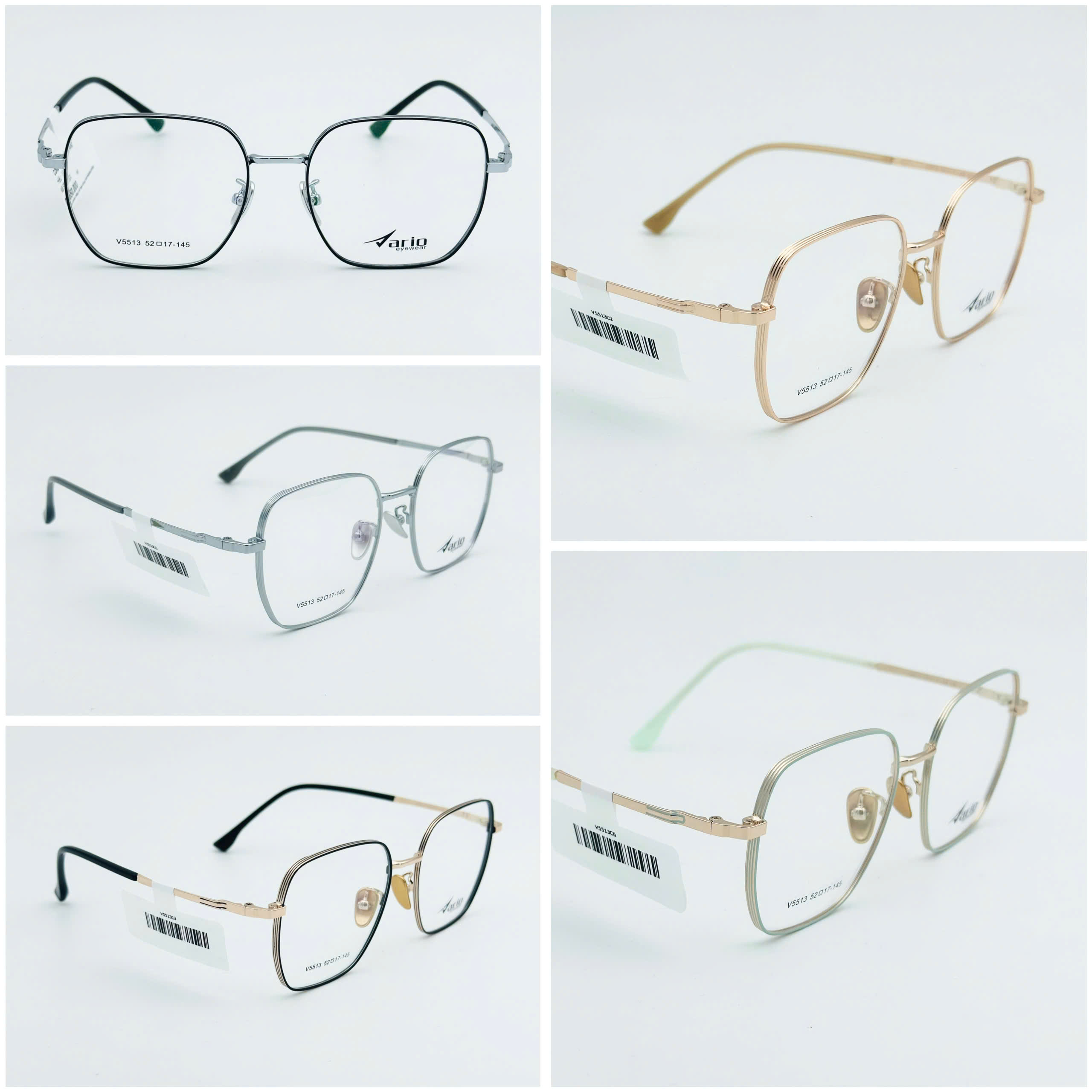 Gọng kính VARIO V5513