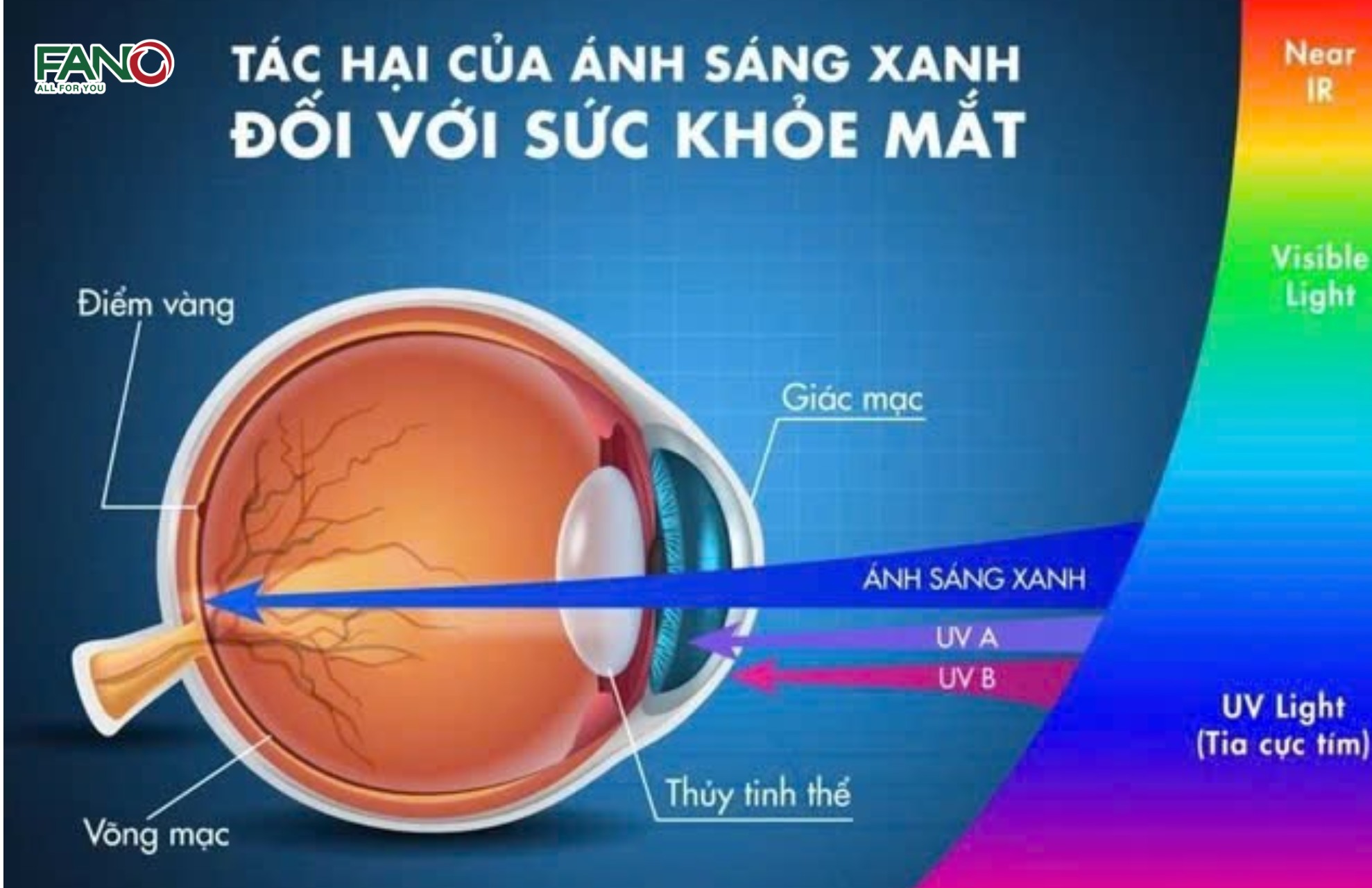 Tác hại của ánh sáng xanh đối với sức khỏe 