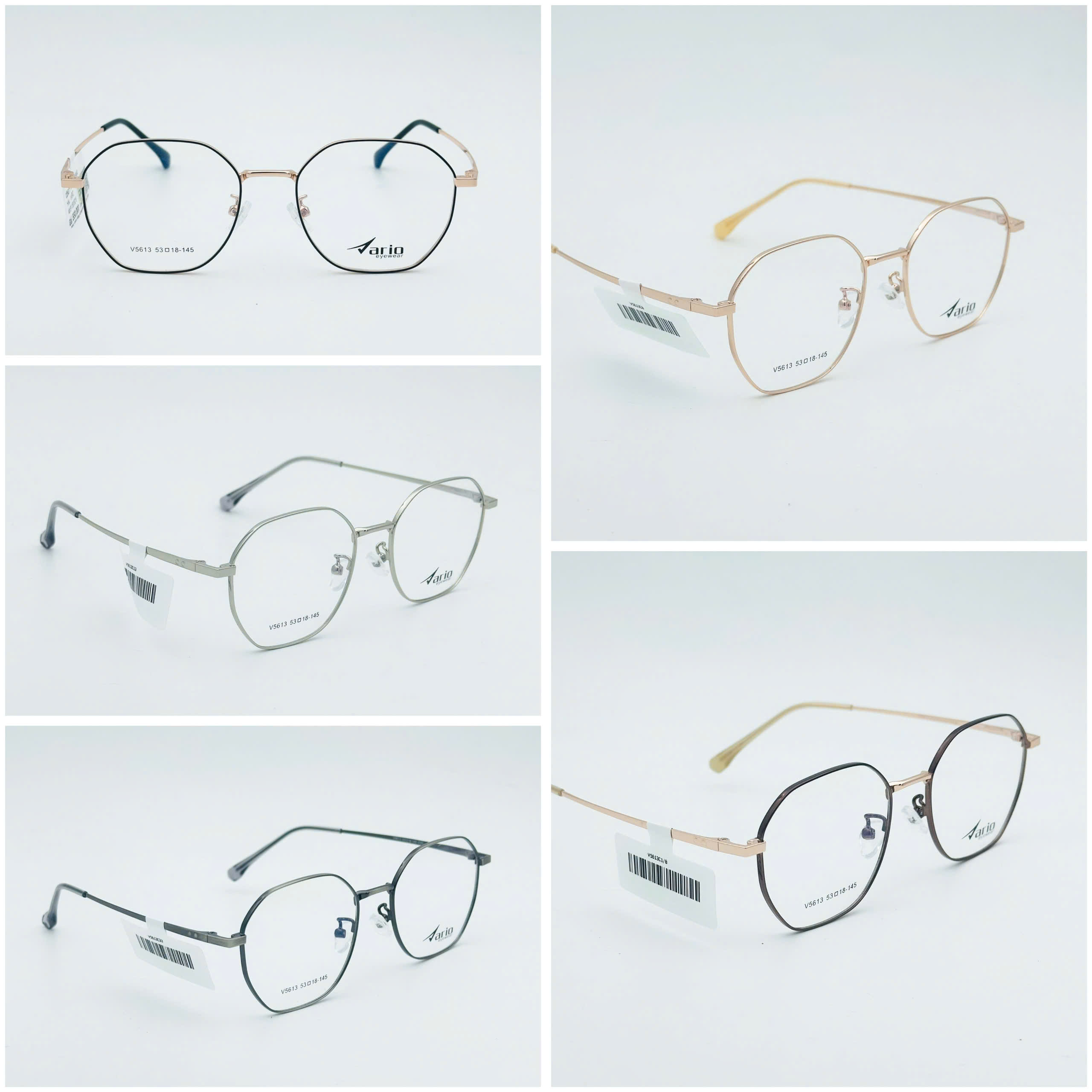 Gọng kính VARIO V5613